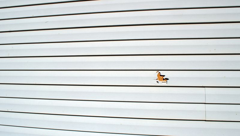 Expert Vinyl Siding Repair Service
